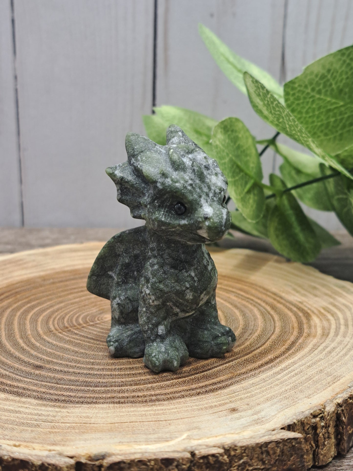 Baby Dragon - Small