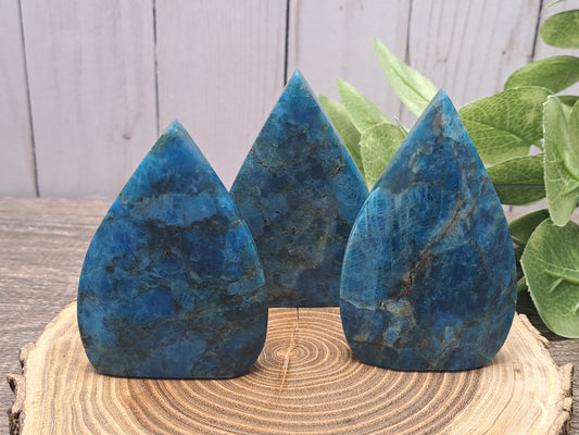 Blue Apatite Freeforms