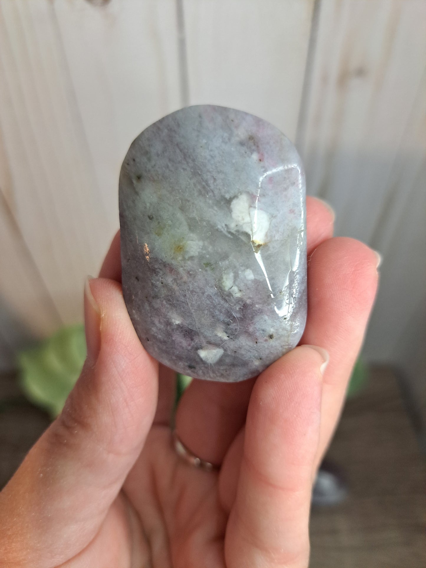 Unicorn Stone Palm Stone