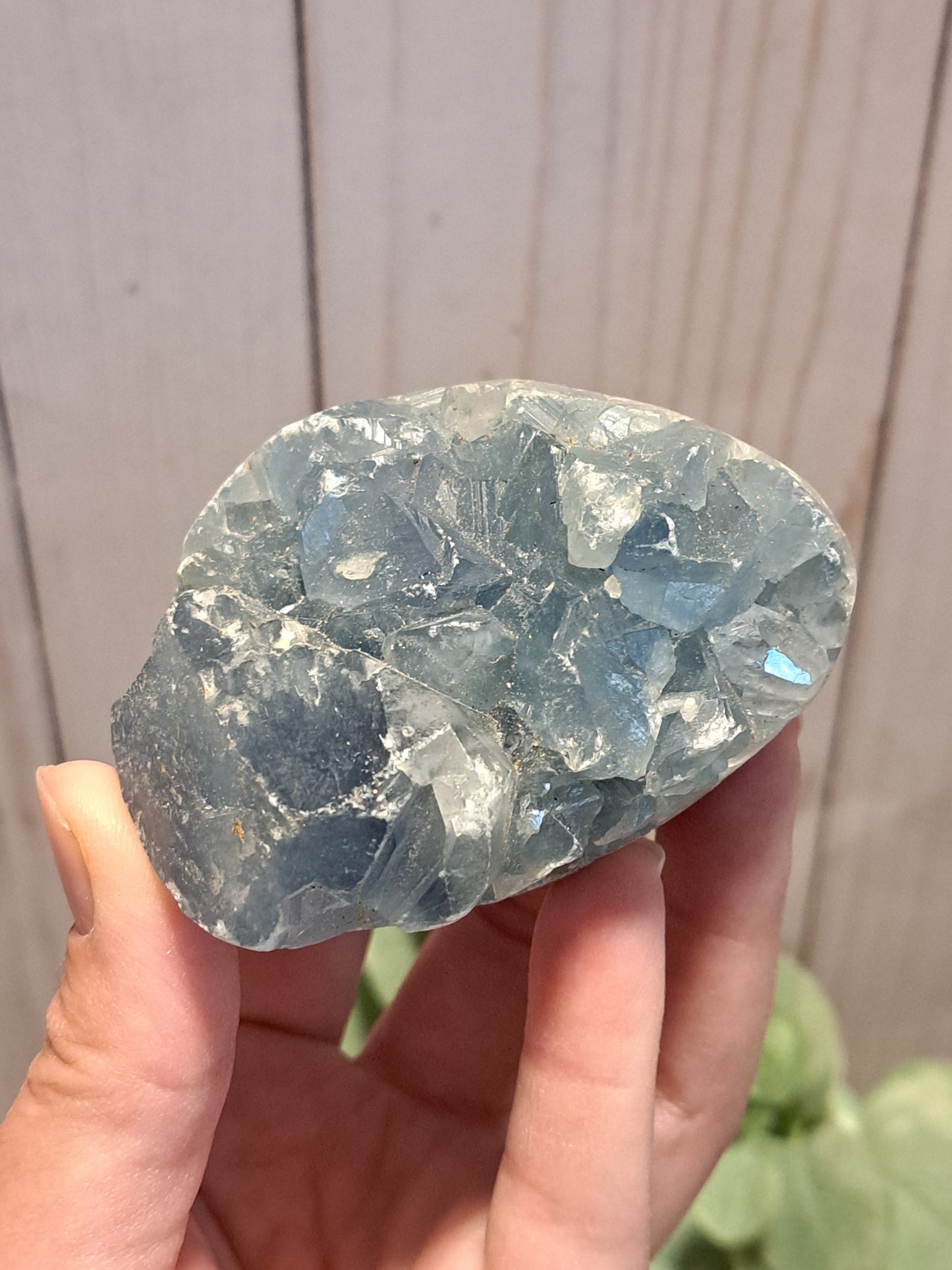 Celestite