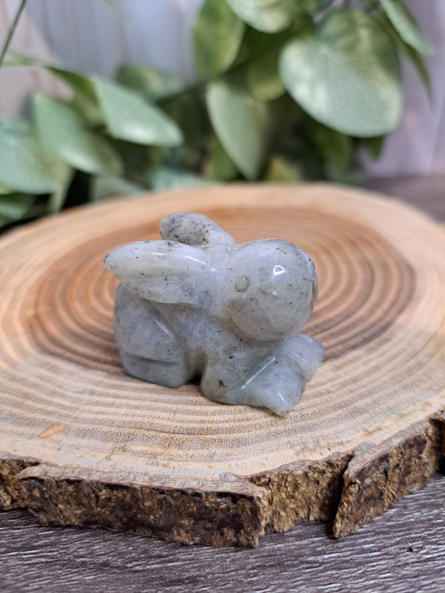 Rabbit Carvings - Small