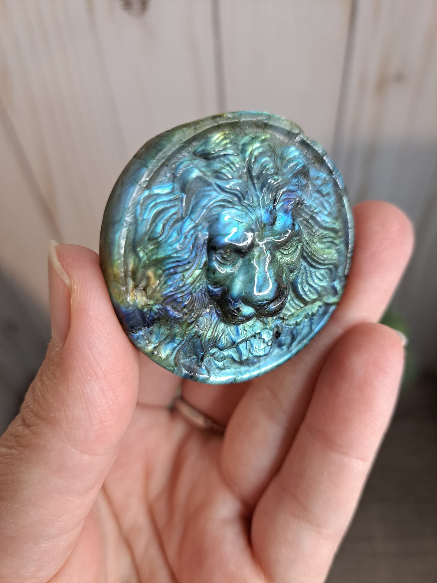 Lion & Tiger Labradorite Carving