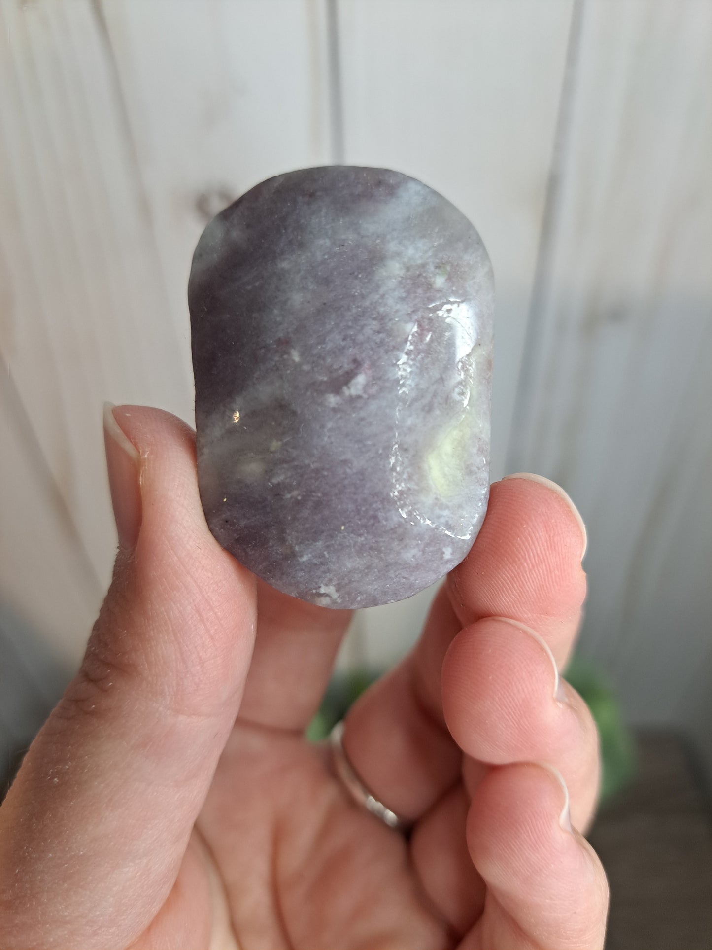 Unicorn Stone Palm Stone