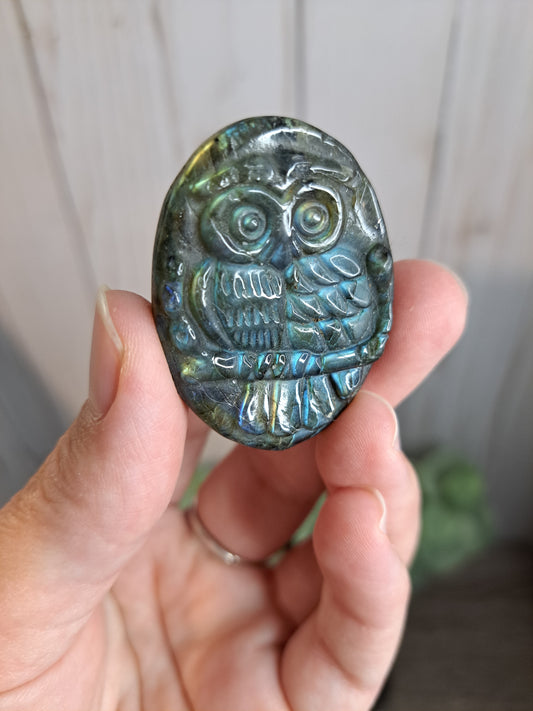 Owl Labradorite Carvings