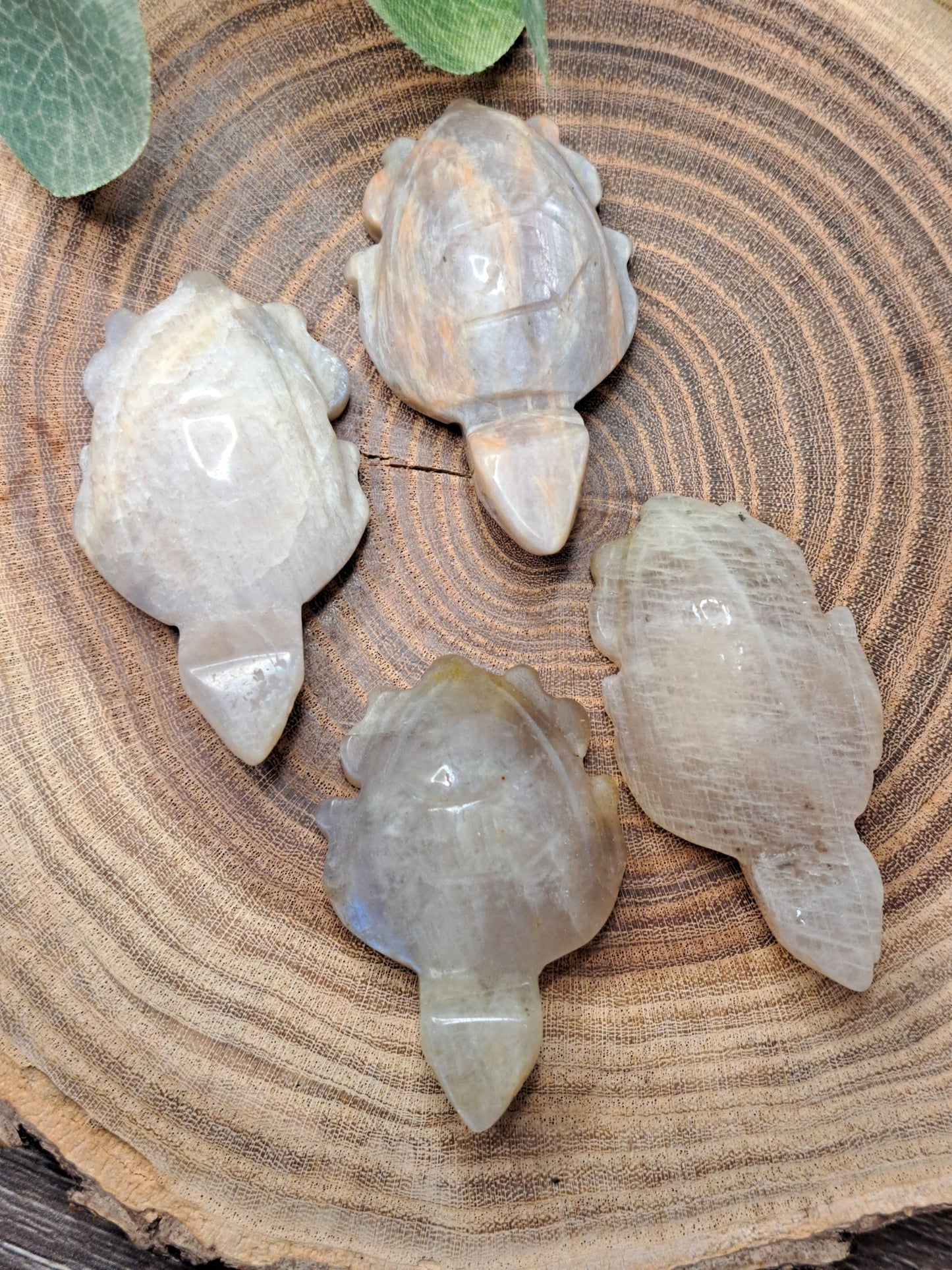 Moonstone Turtle Carvings