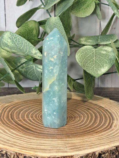 Caribbean Calcite Towers