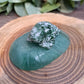 Frog Carving on Lily Pad