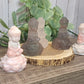 Buddha Carvings with Lotus