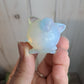 Jiggly Puff Carving - Pokemon