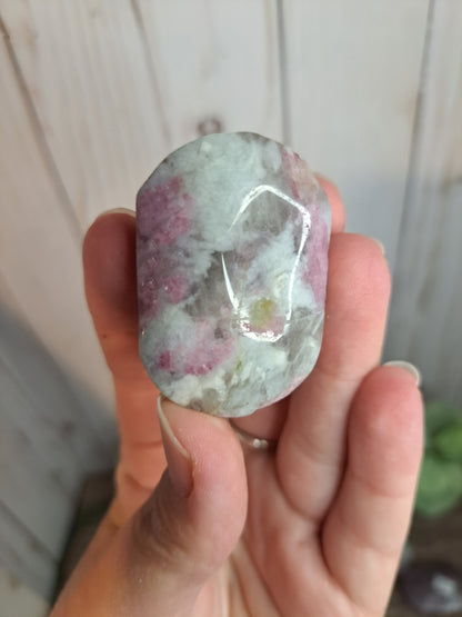 Unicorn Stone Palm Stone