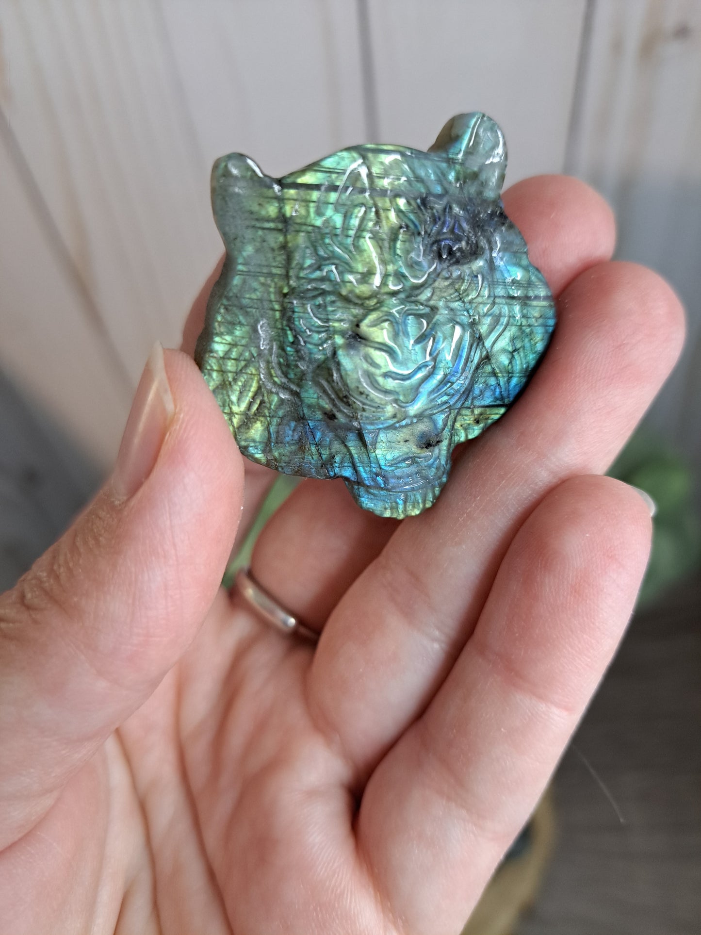 Lion & Tiger Labradorite Carving