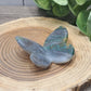 Assorted Butterfly Carvings