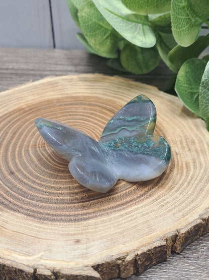 Assorted Butterfly Carvings