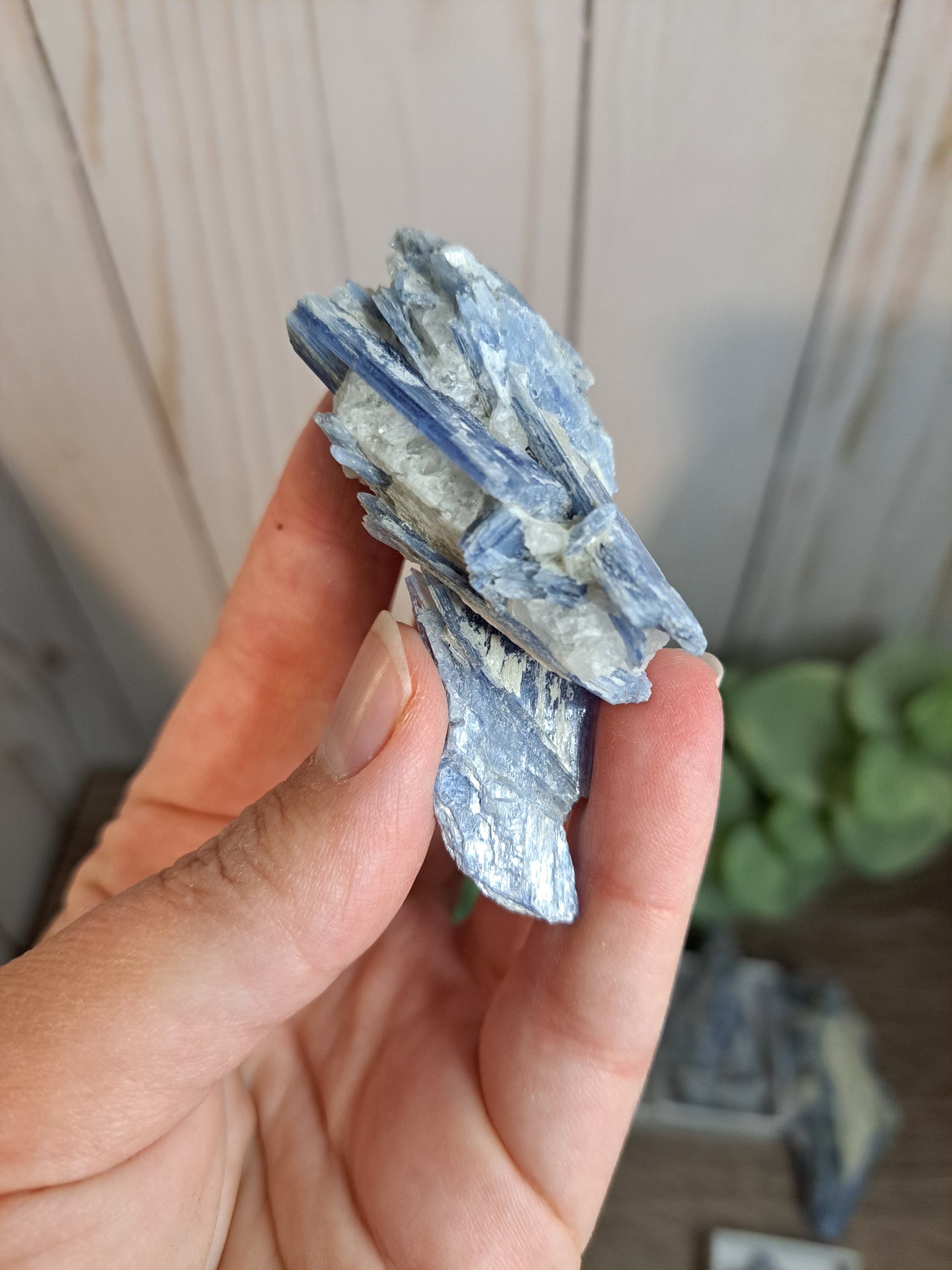 Kyanite Raw