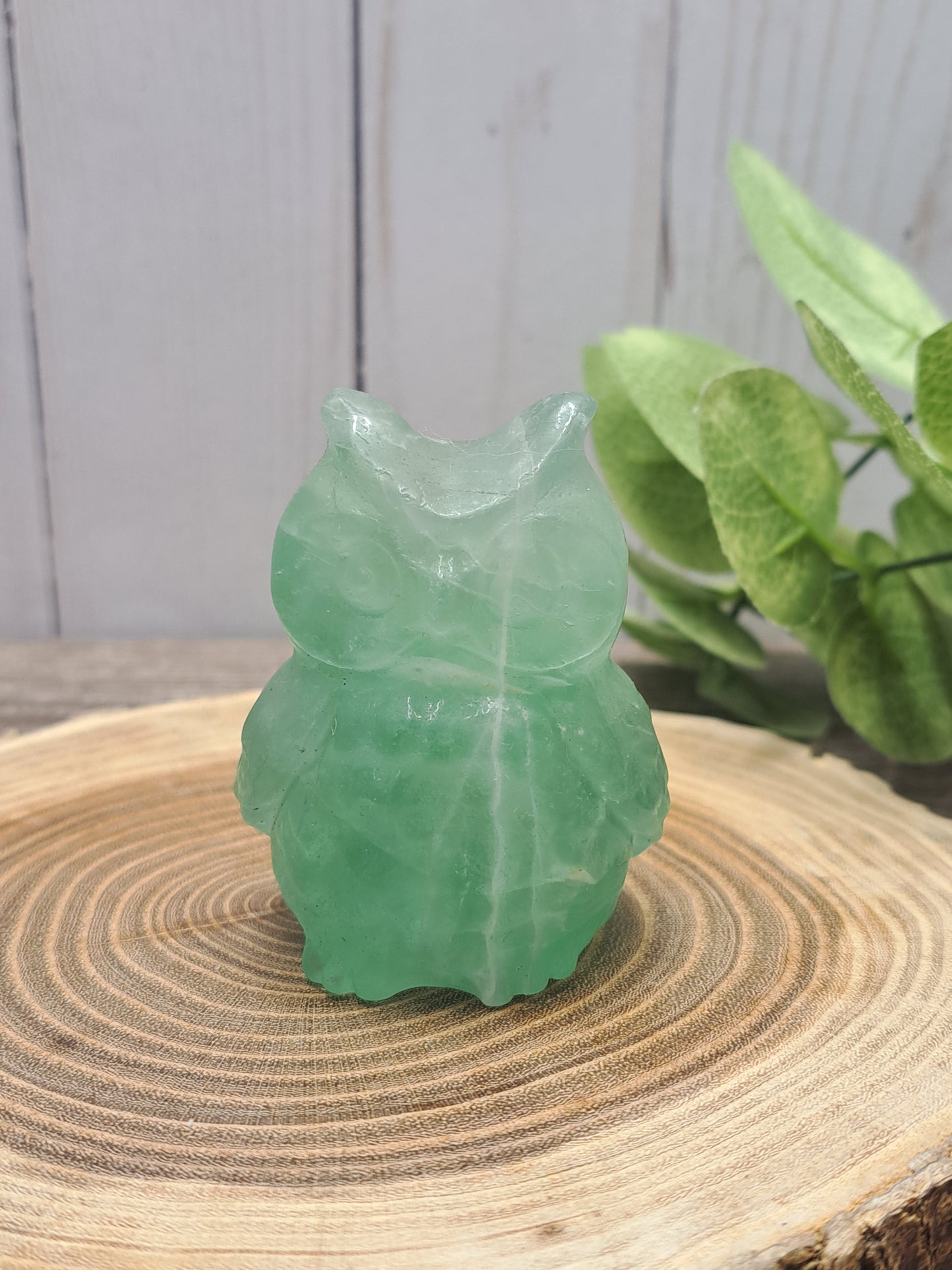 Owl Carvings - Medium