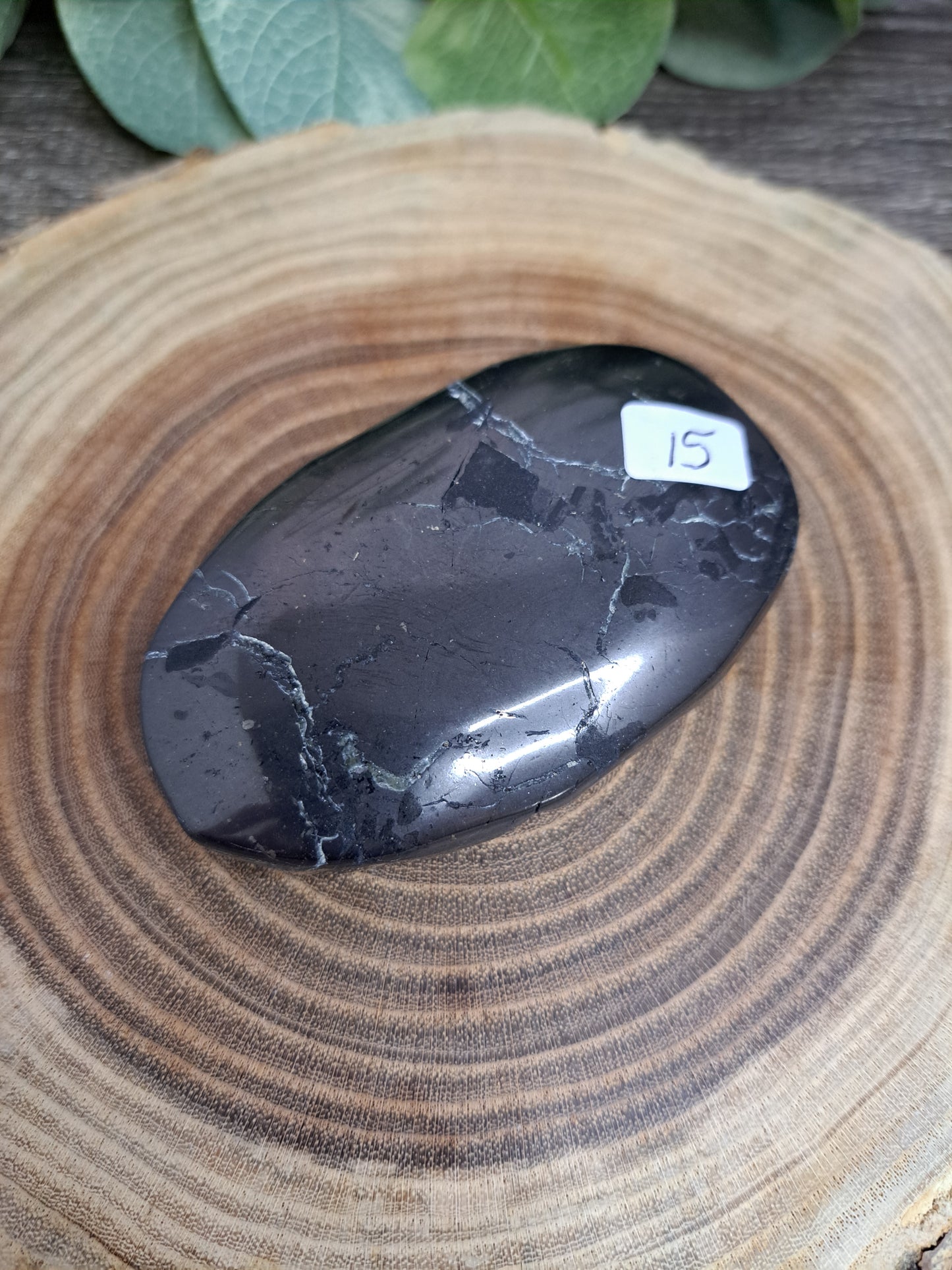 Shungite Palm Stones