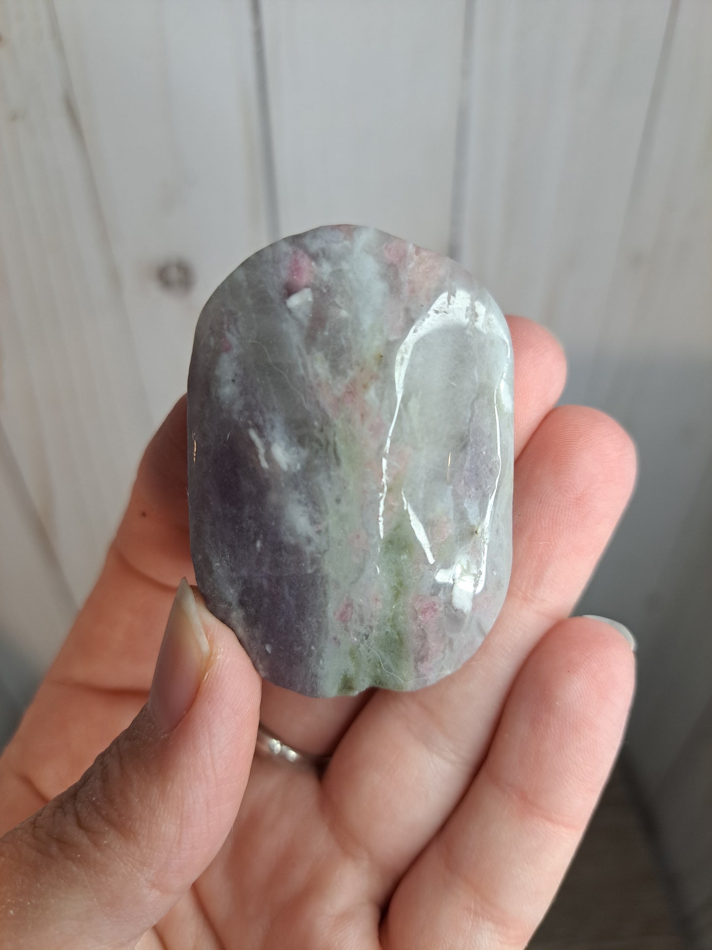 Unicorn Stone Palm Stone