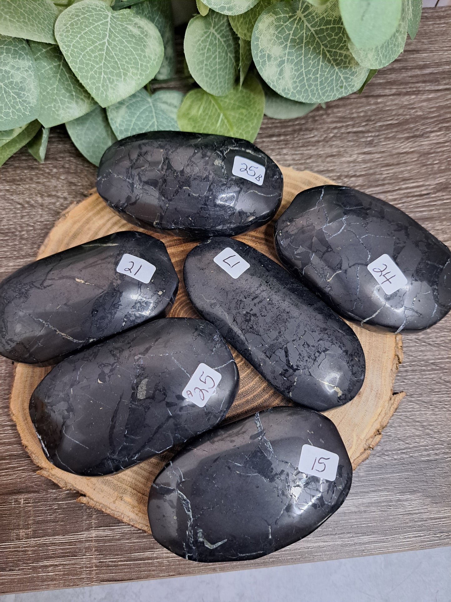 Shungite Palm Stones