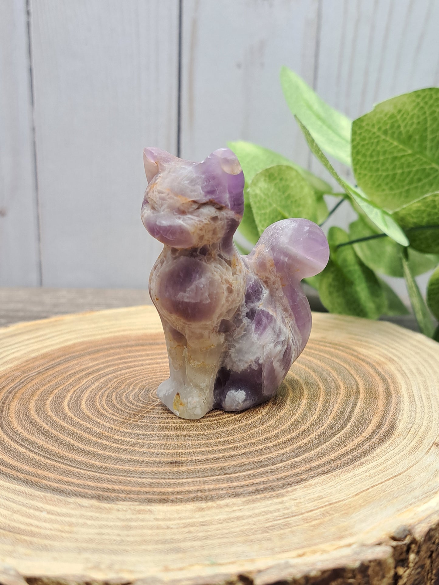 Cat Carvings