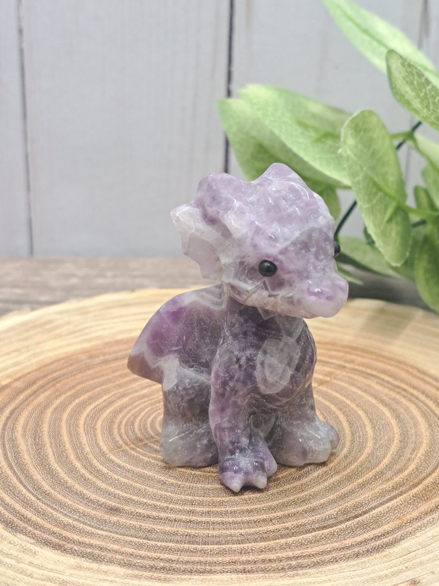 Baby Dragon - Small