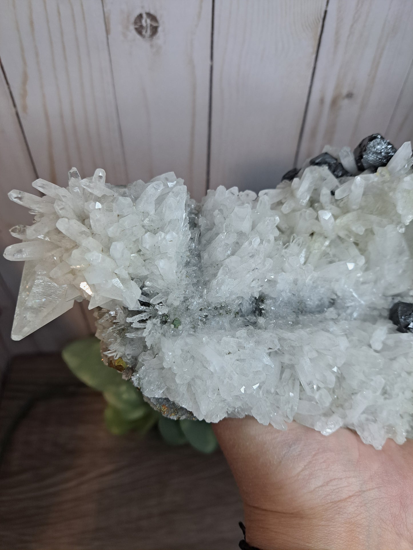 Chrysanthemum Quartz with Pyrite and other inclusions - Statement Cluster