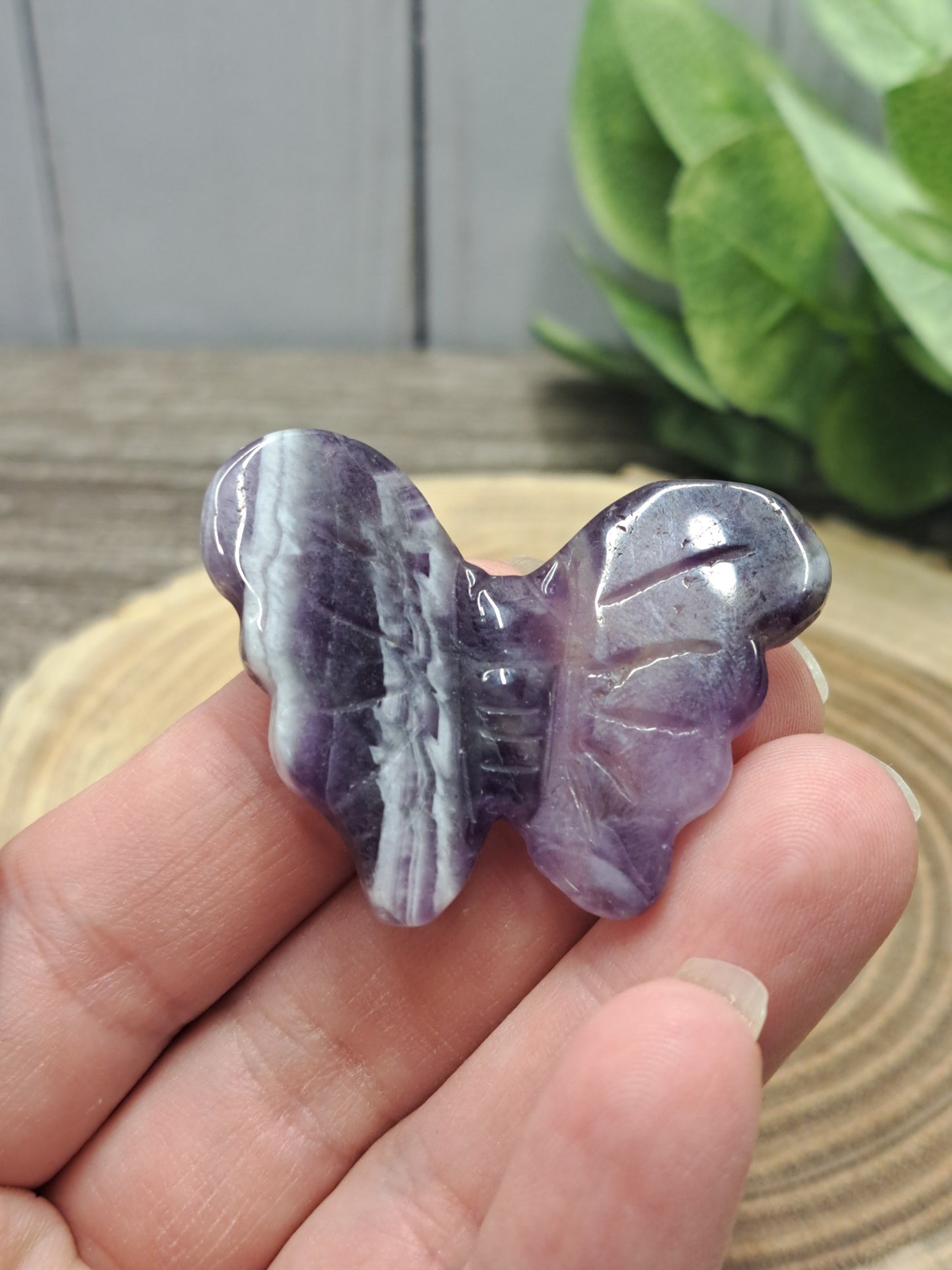 Butterfly Carvings