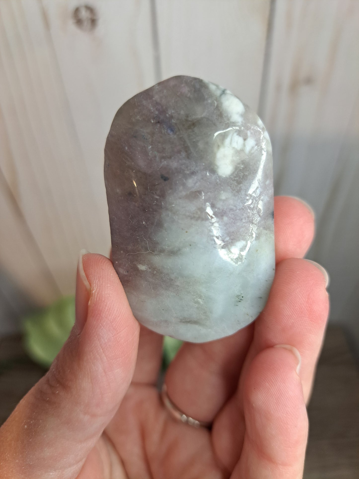 Unicorn Stone Palm Stone