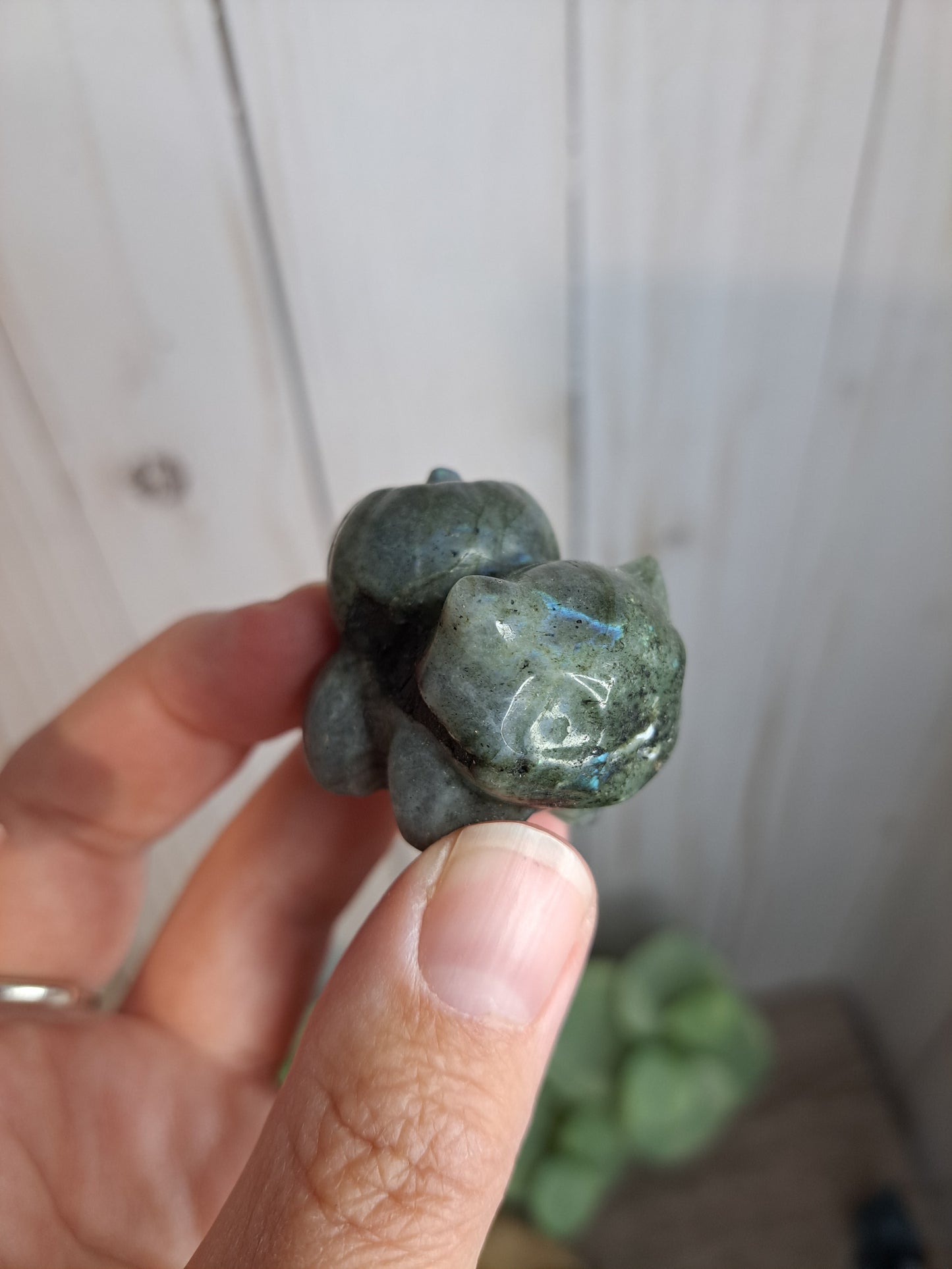 Bulbasaur Carving - Pokemon