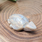 Moonstone Turtle Carvings