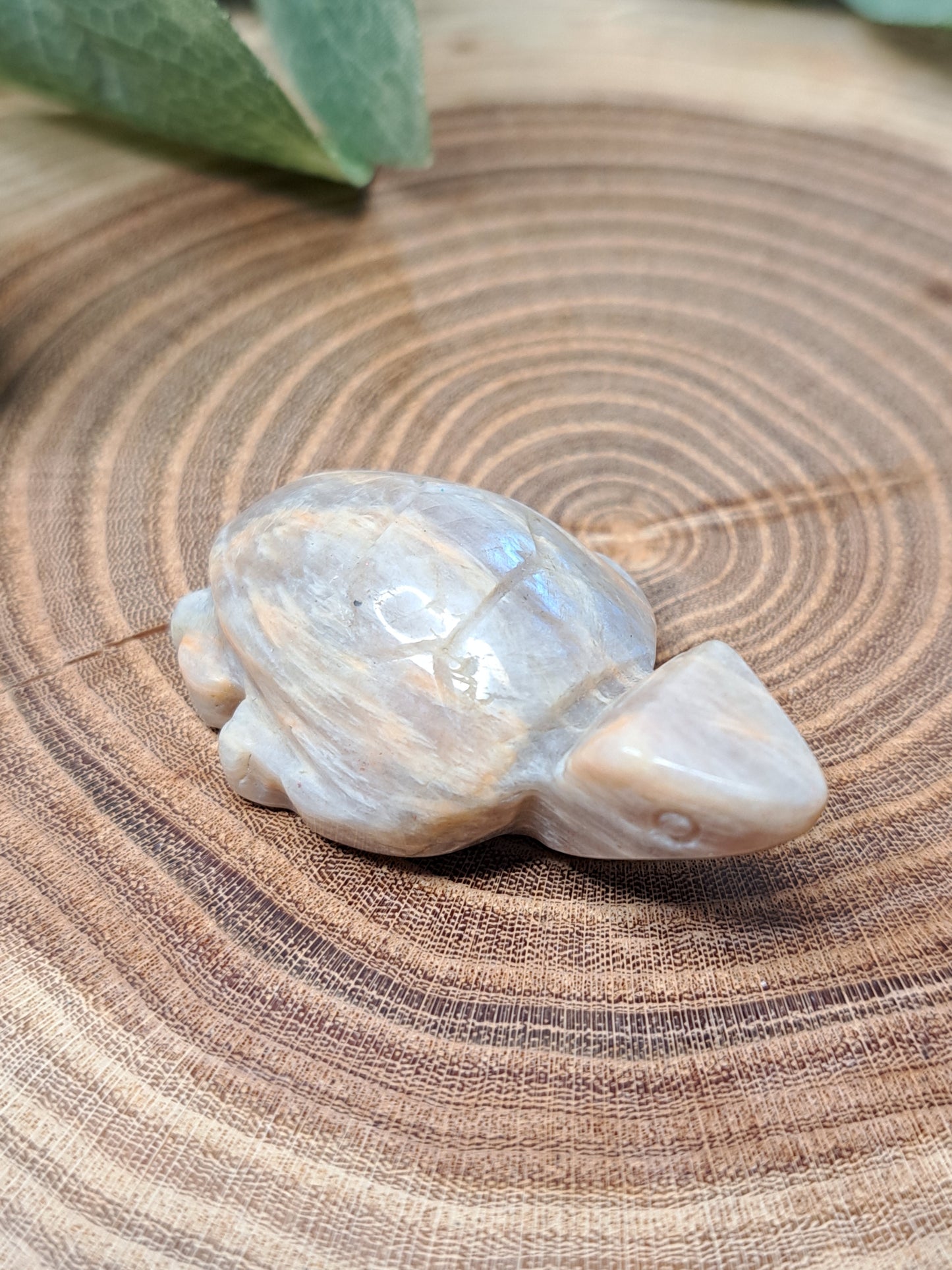 Moonstone Turtle Carvings