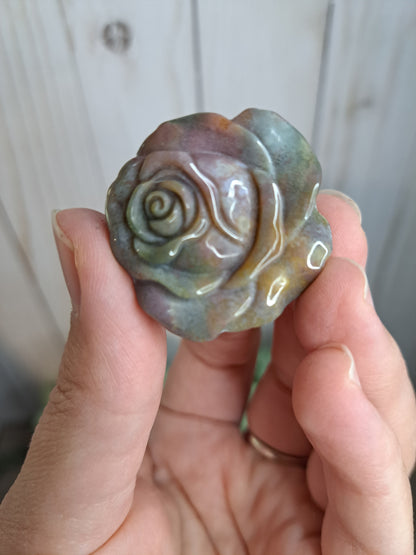 Ocean Jasper Roses