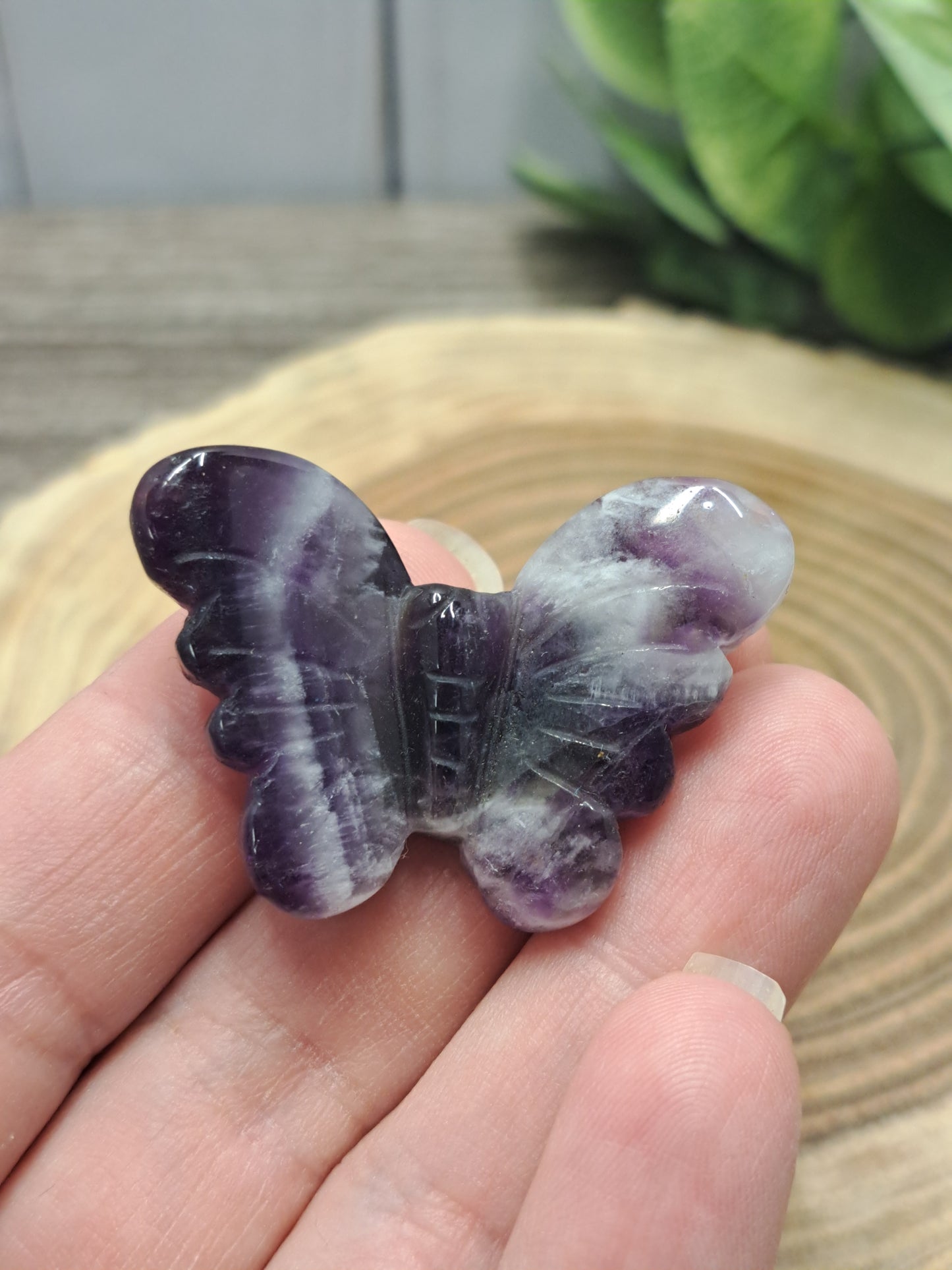 Butterfly Carvings