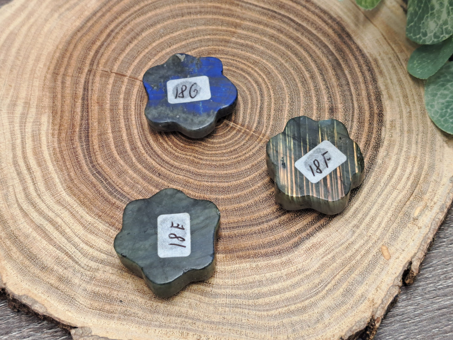 Labradorite Paw Prints