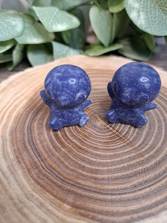 Piplup Carving - Pokemon