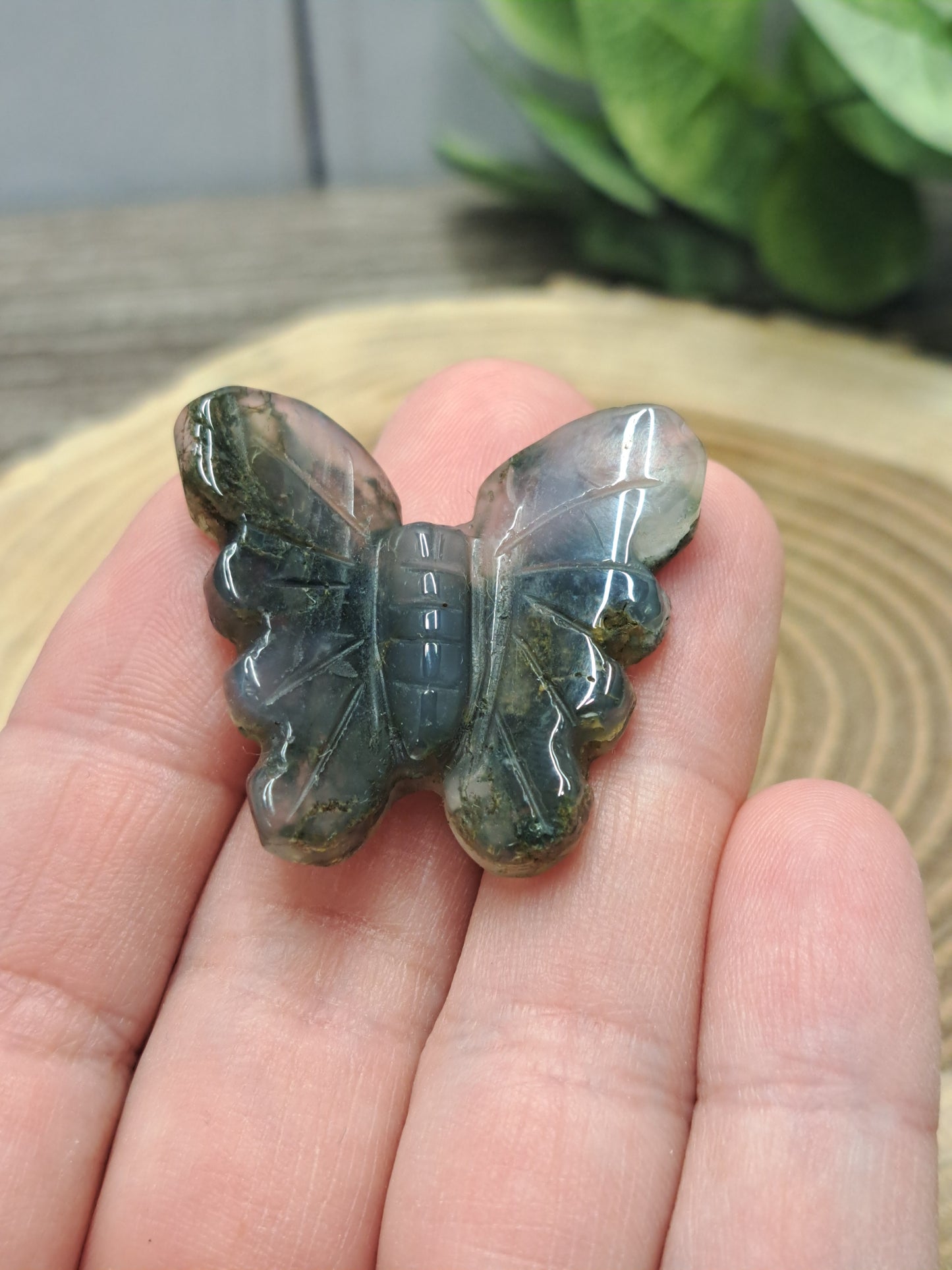 Butterfly Carvings