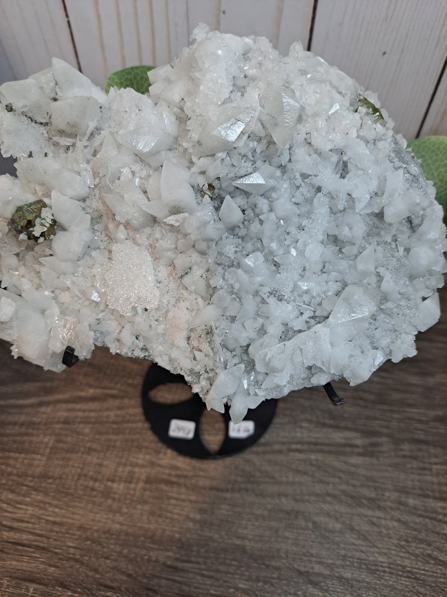 Chrysanthemum Quartz with Pyrite - Statement Cluster