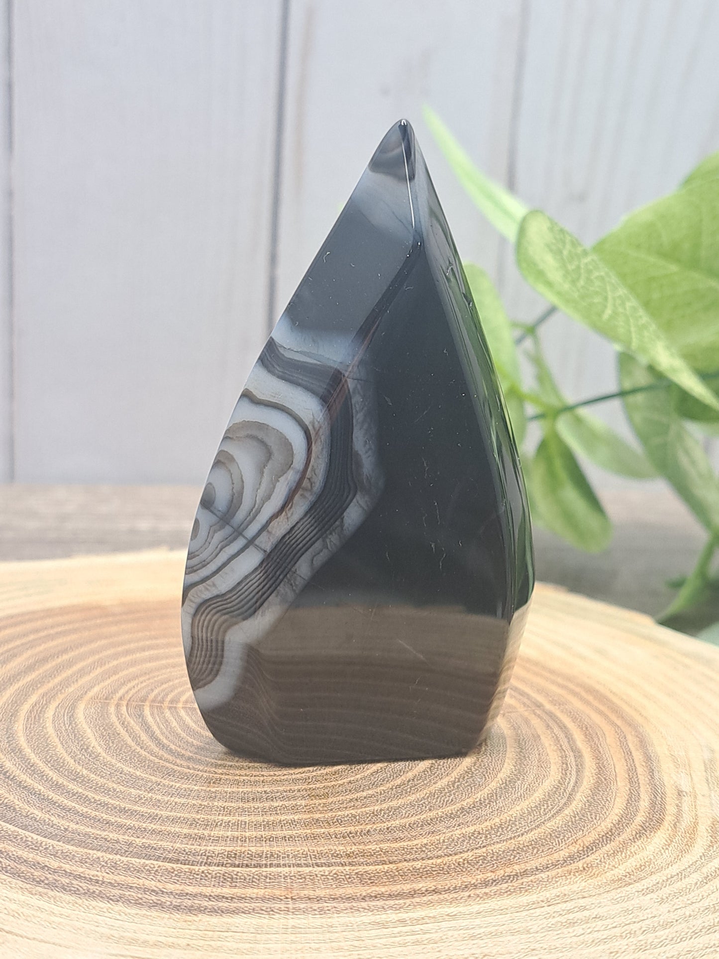 Black Agate Freeforms