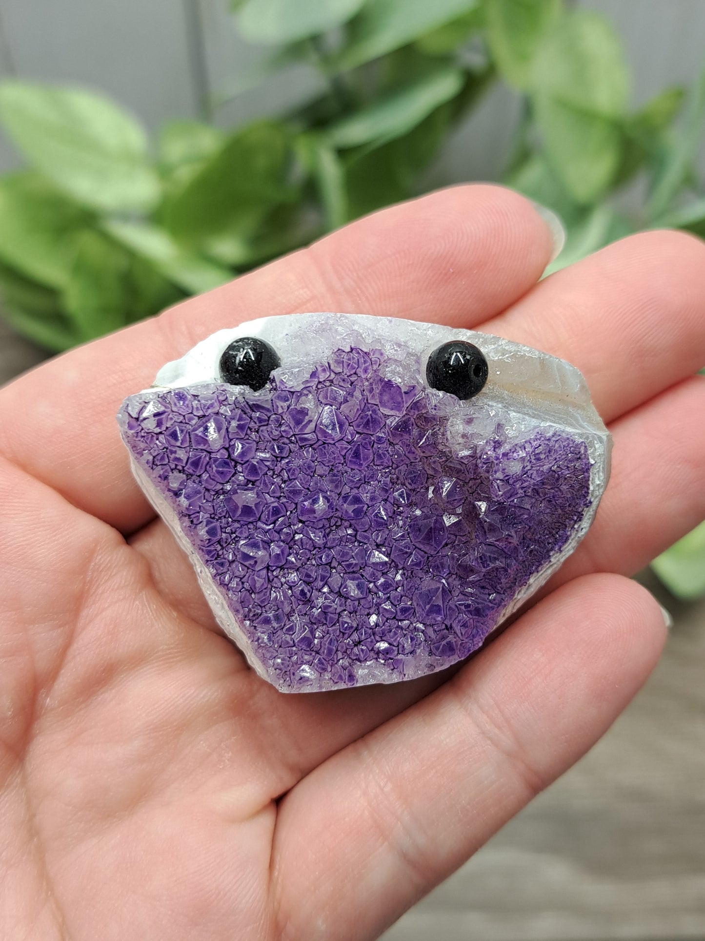 Amethyst Rock Pets