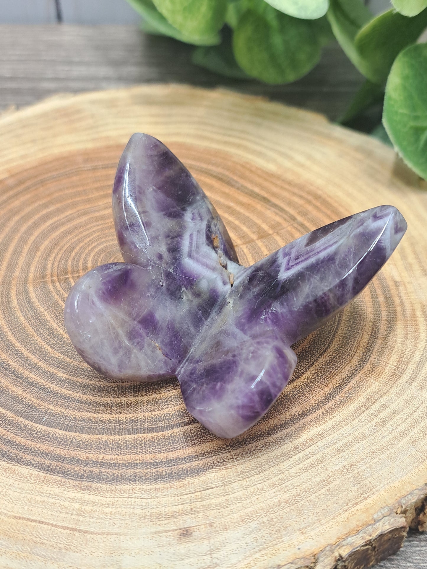 Assorted Butterfly Carvings
