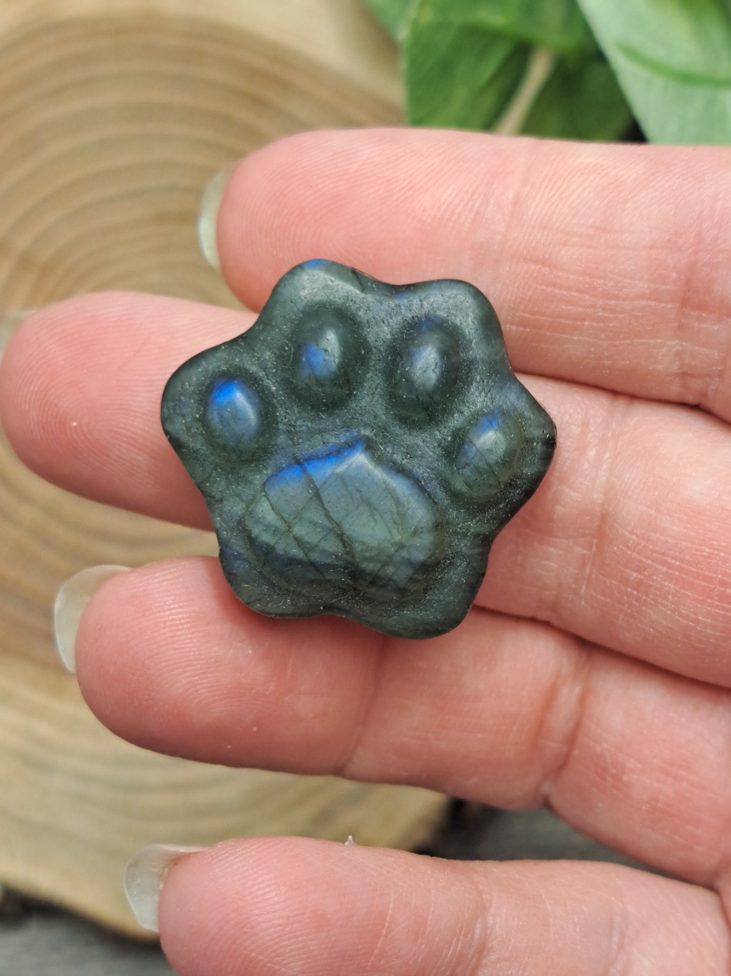 Labradorite Paw Prints