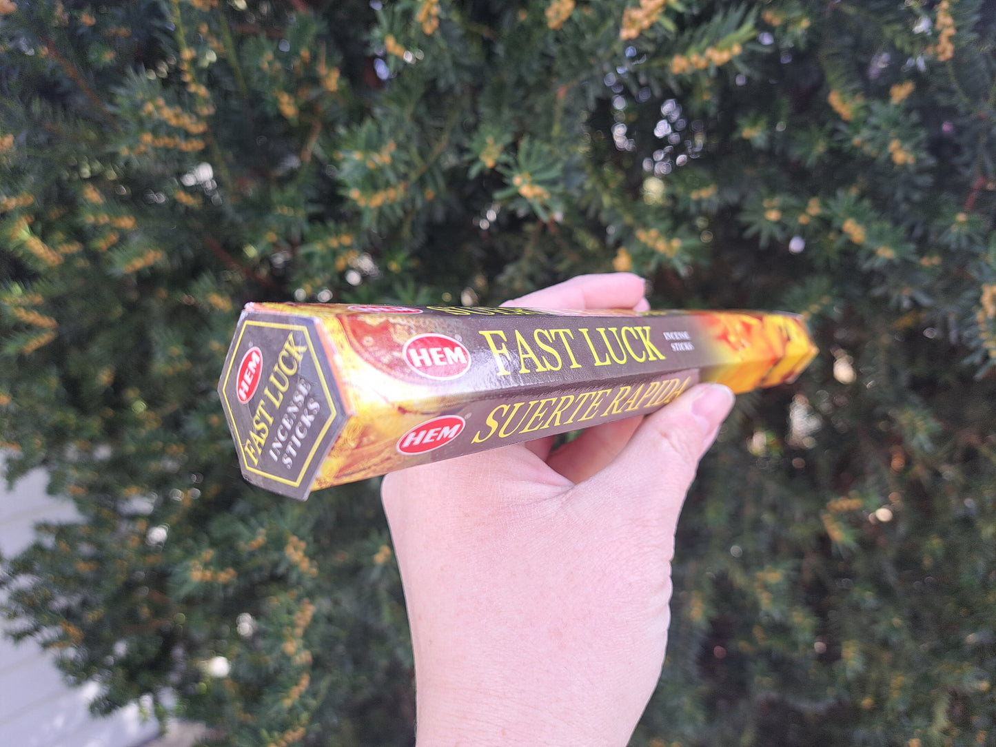 Fast Luck Incense Sticks pk 20