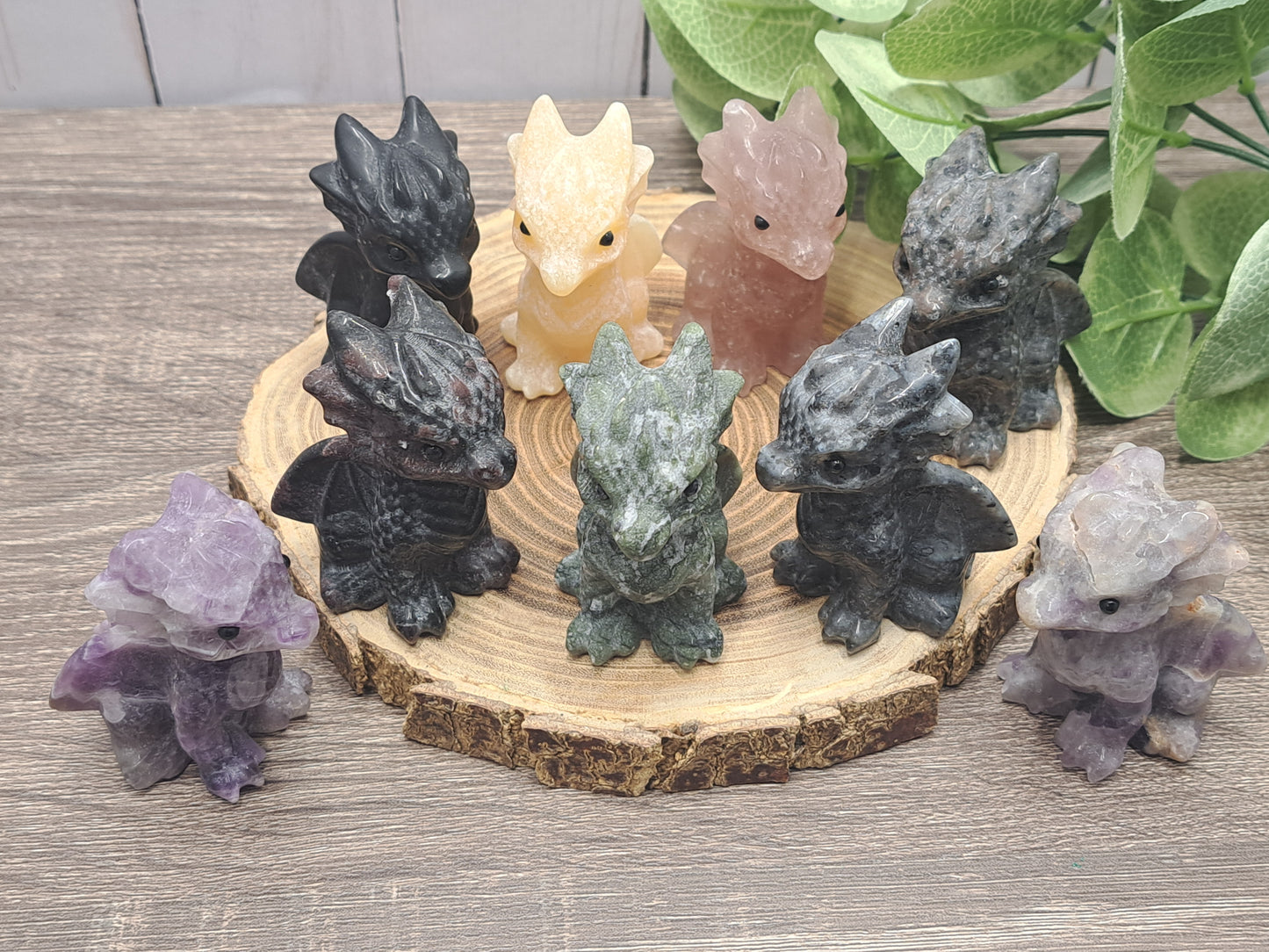 Baby Dragon - Small