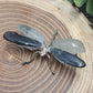 Dragonflies