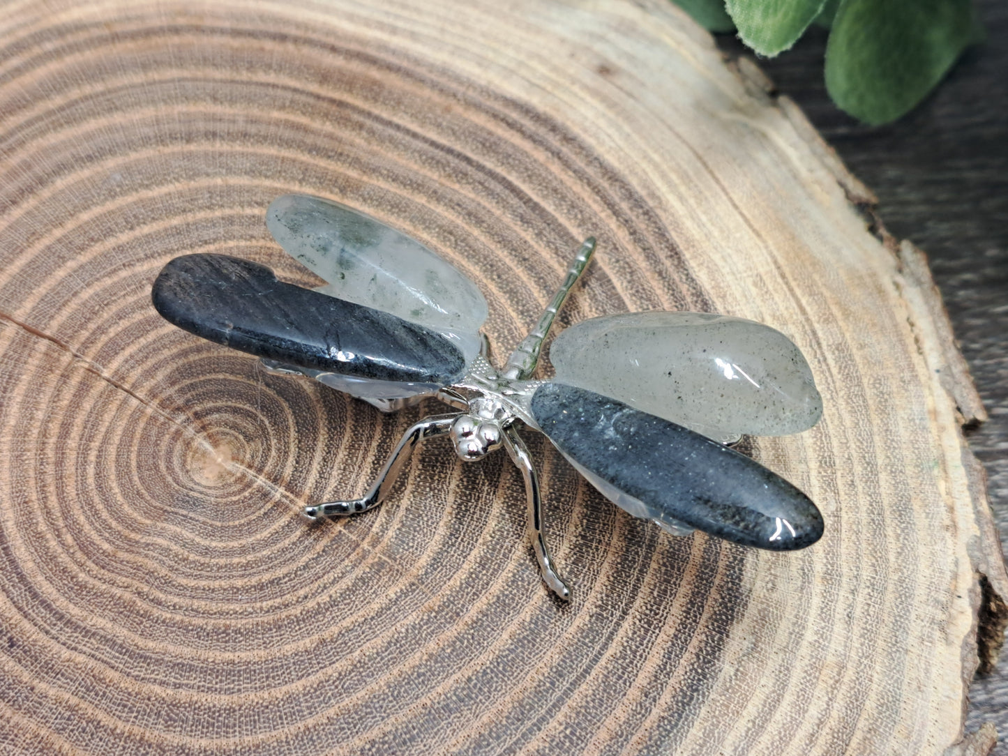 Dragonflies