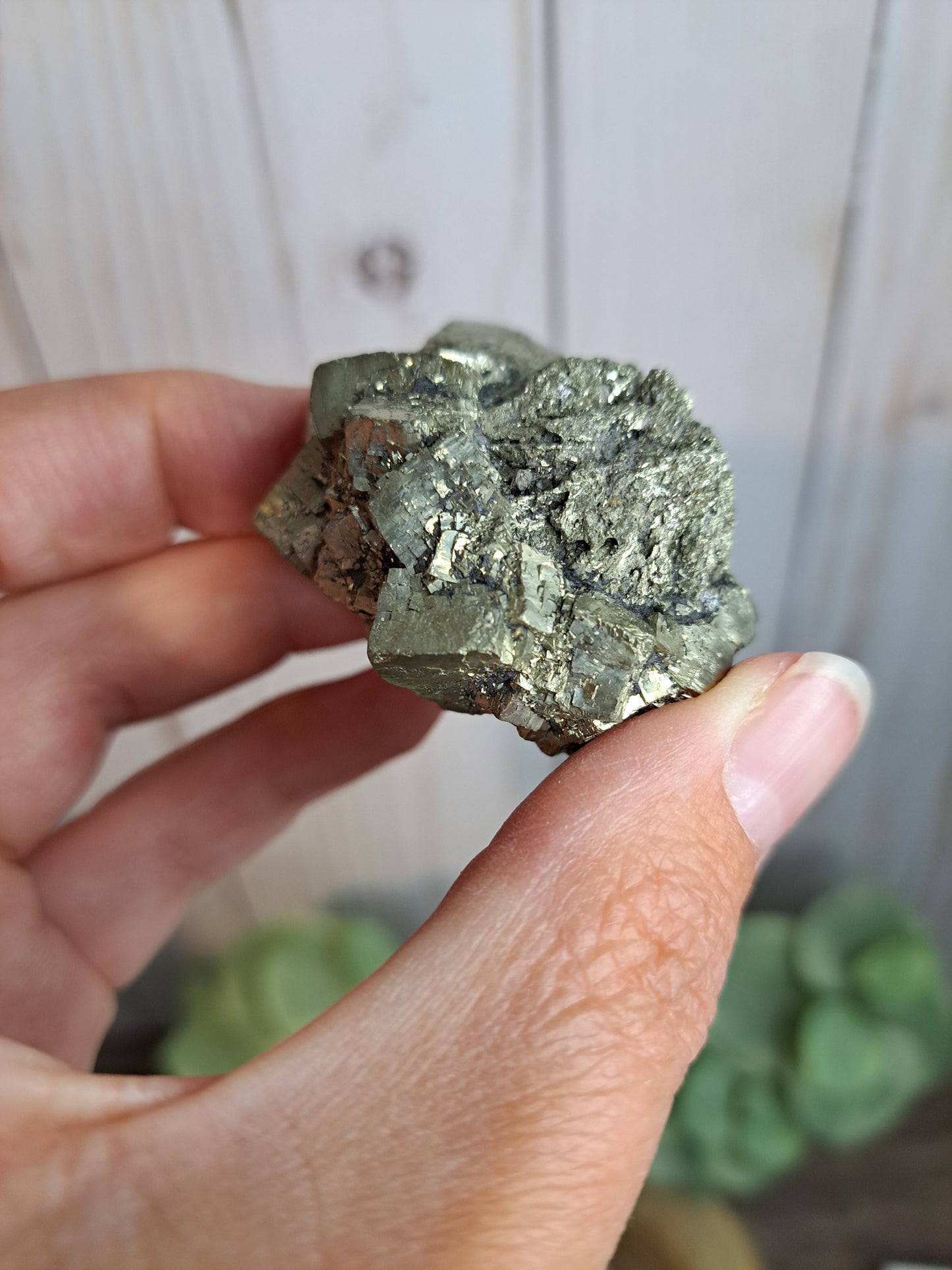 Pyrite Raw