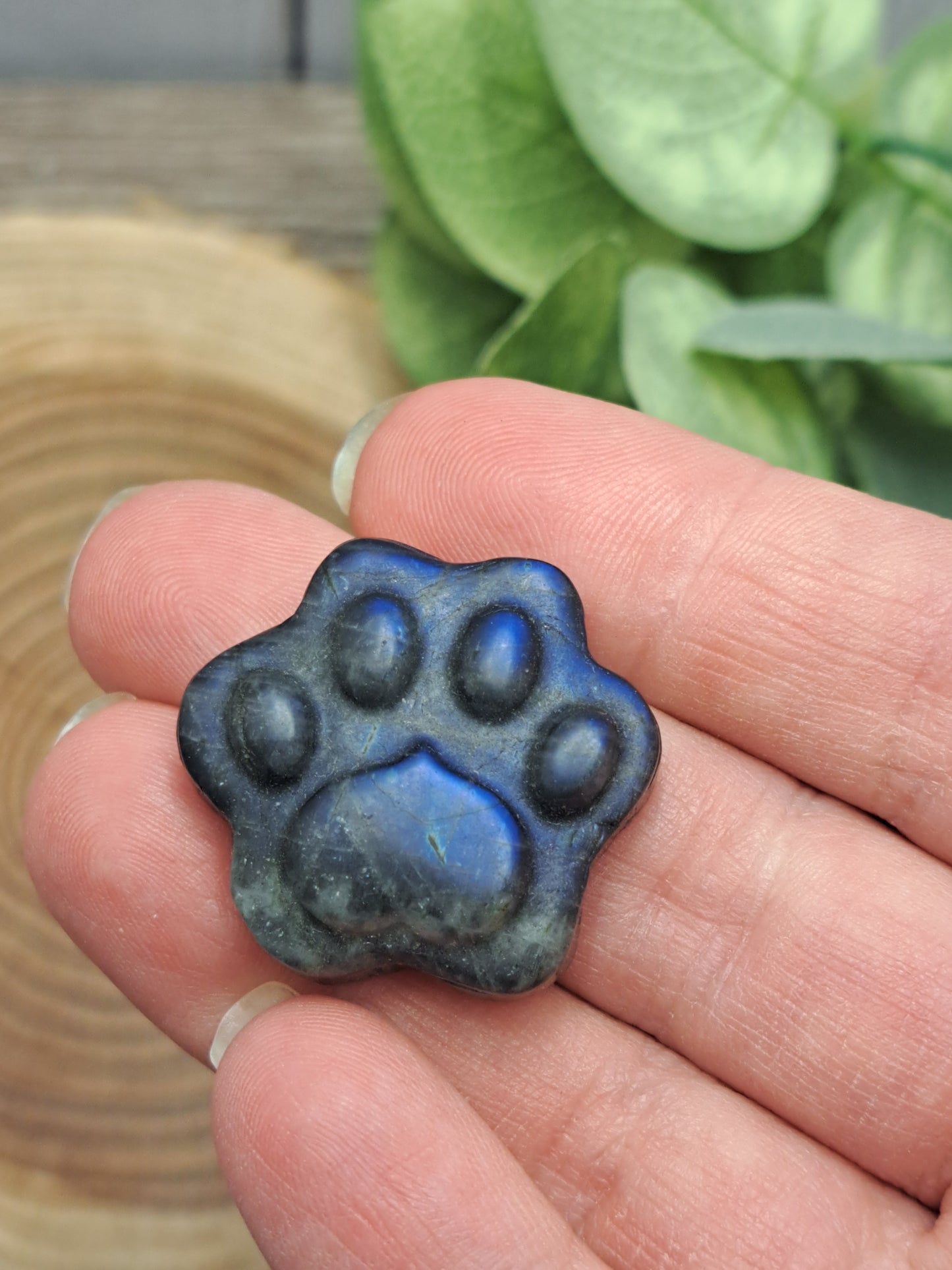 Labradorite Paw Prints