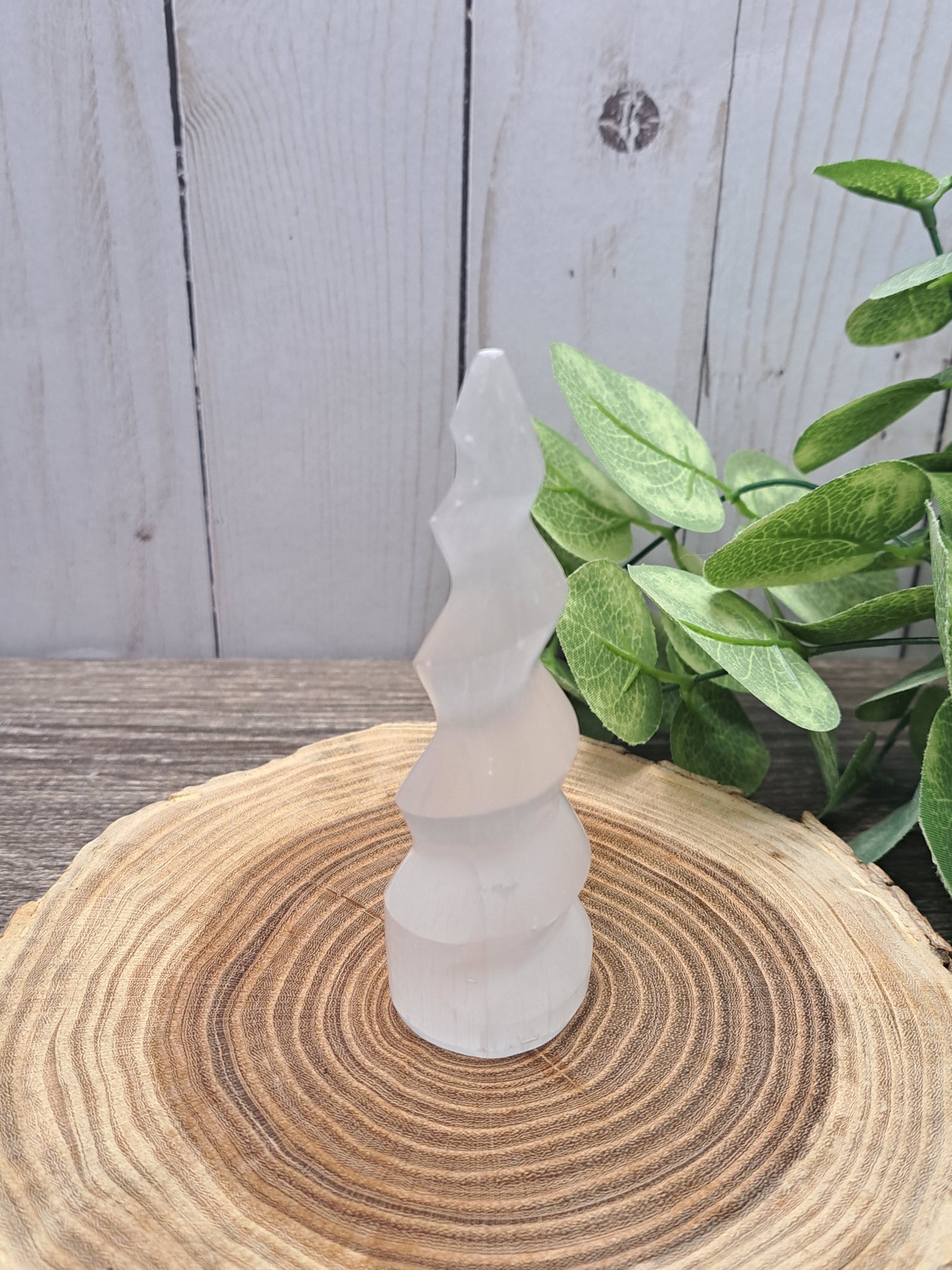 Selenite Spiral Horns