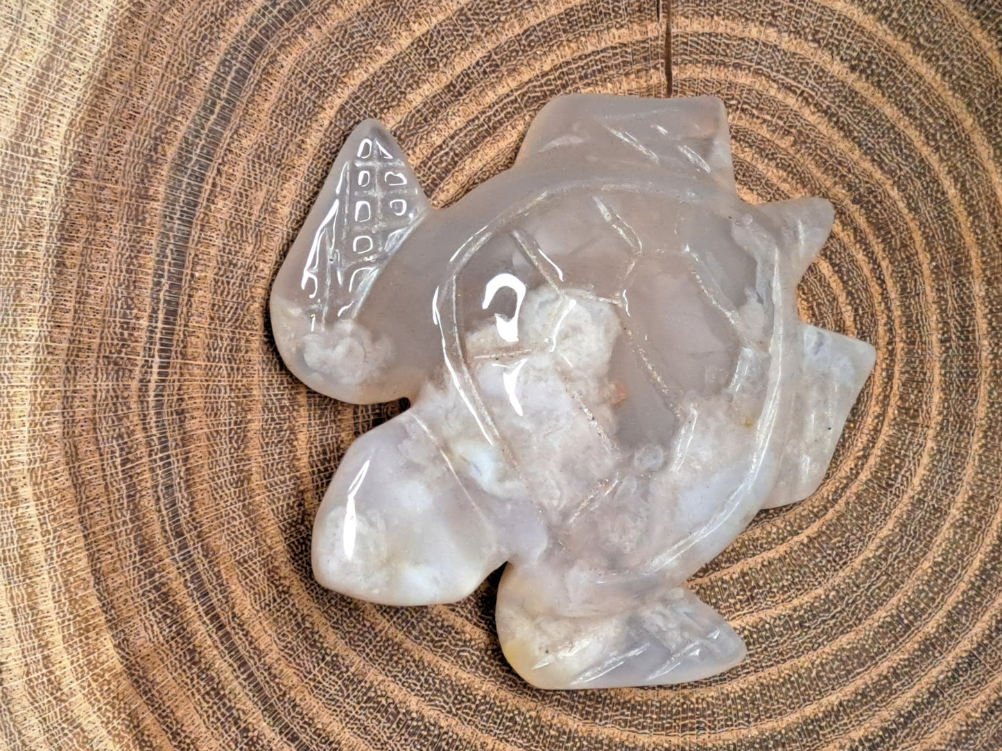 Flower Agate Turtles
