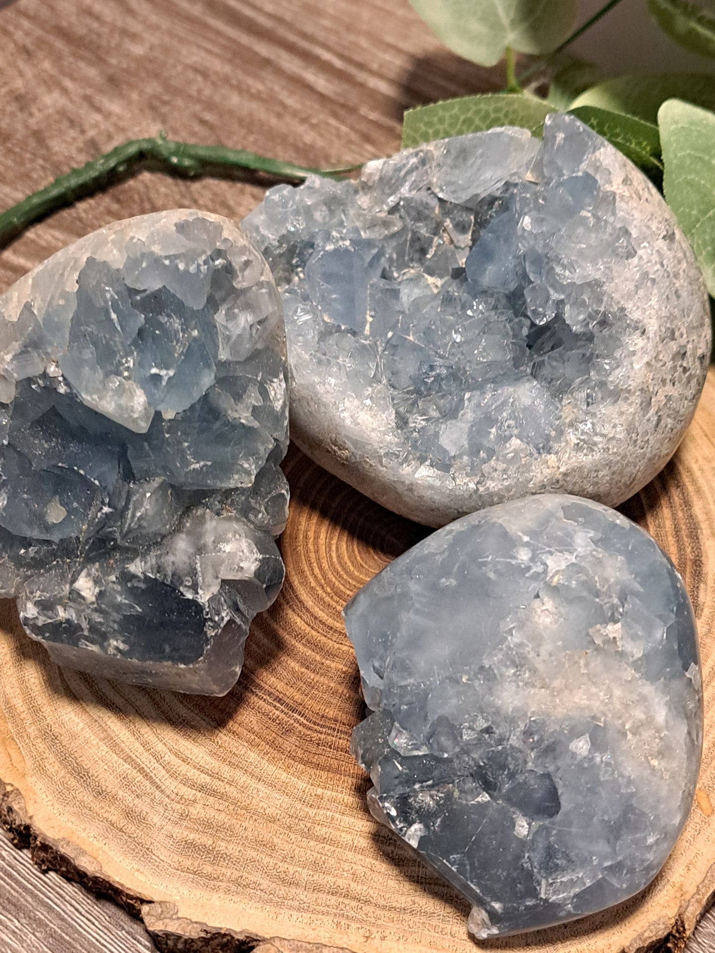 Celestite