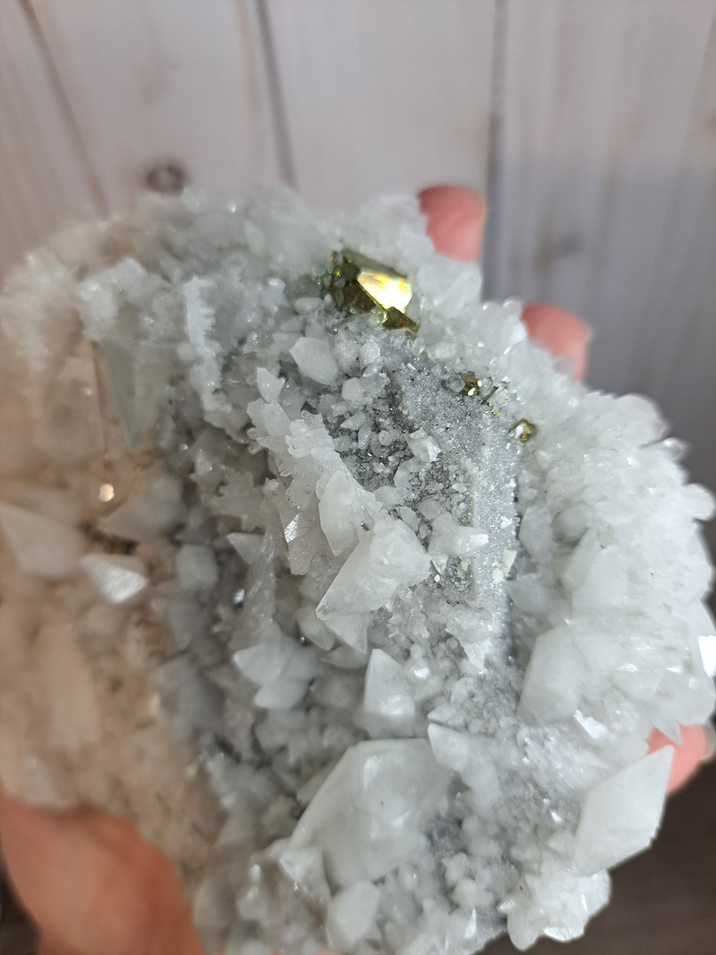 Chrysanthemum Quartz with Pyrite - Statement Cluster